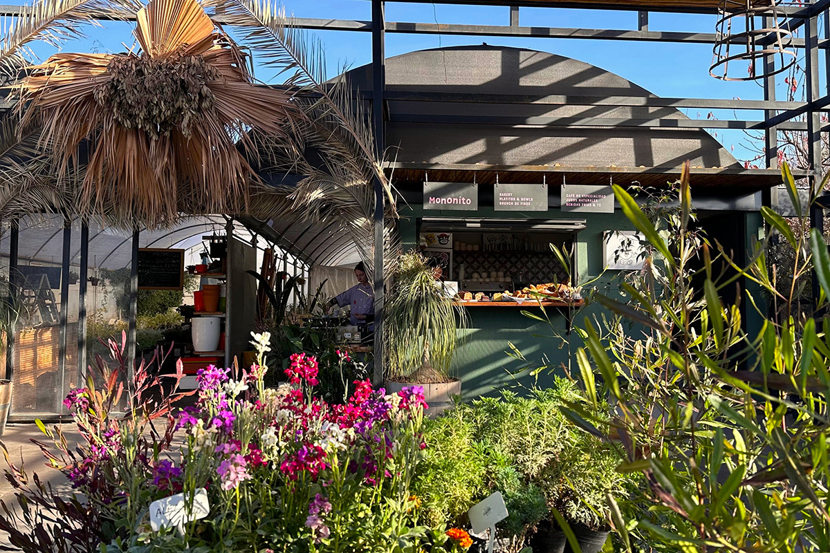 Café Mononito en Lunta Vivero1