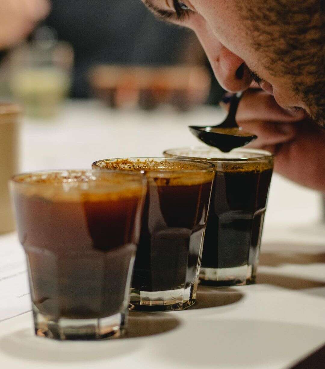 Cata Aconcagua Café