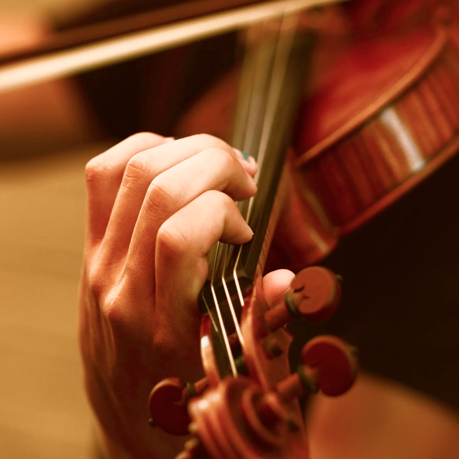 violin agenda