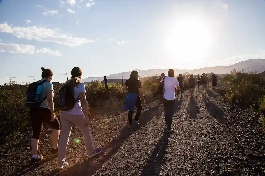 divisadero nocturno_11zon_11zon