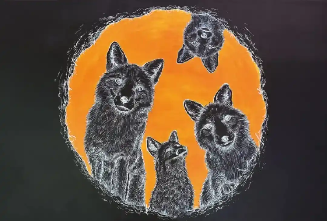 muestra Astucia_11zon_11zon