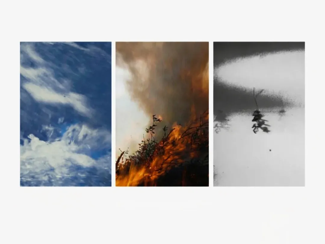 muestra en aristobula casa de arte_11zon