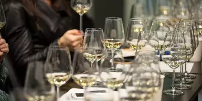 Cata-profesional-de-vinos