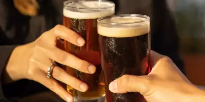 antares cerveza agenda