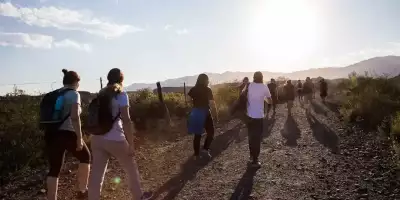 divisadero nocturno_11zon_11zon