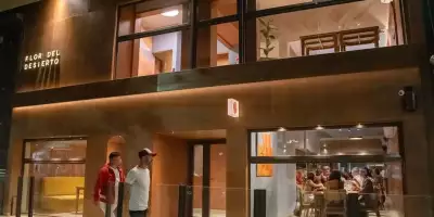 flor del decierto mendoza portada