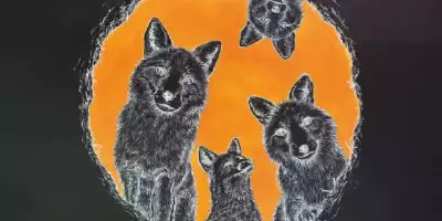 muestra Astucia_11zon_11zon