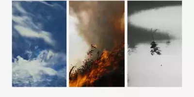 muestra en aristobula casa de arte_11zon