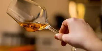 vinosnaranjos2