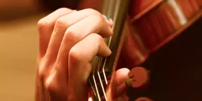violin agenda